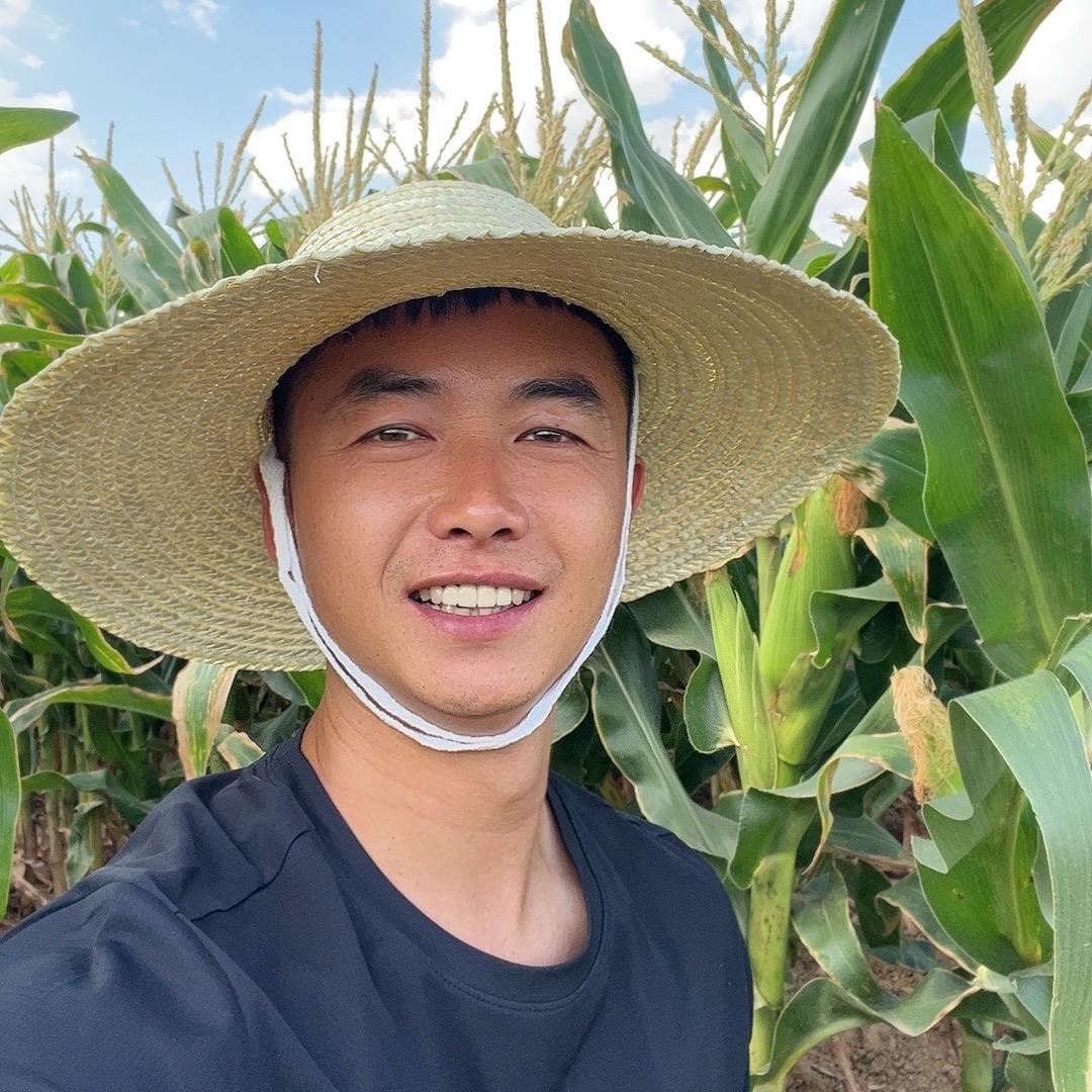 杨大龙