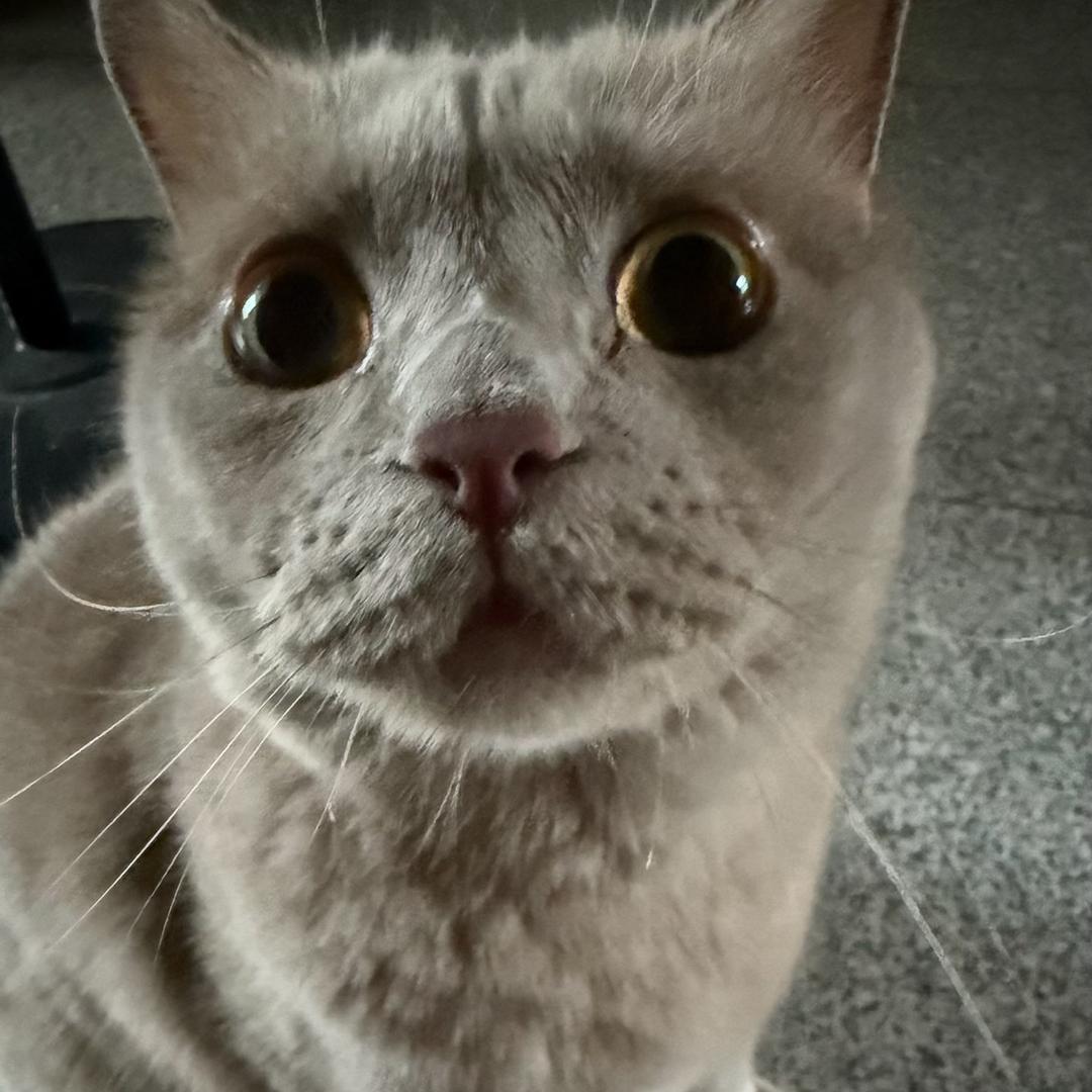 不要抑郁