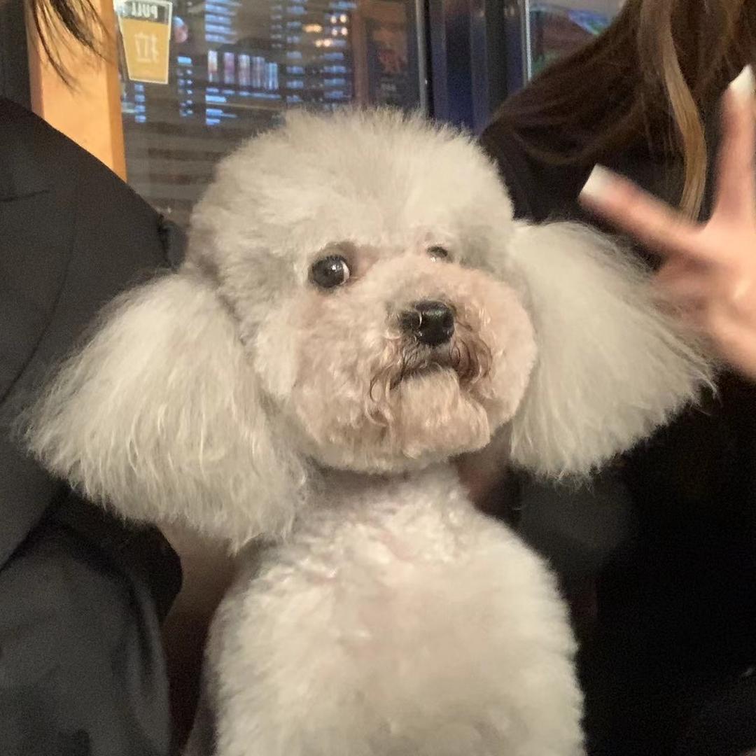 懂爷