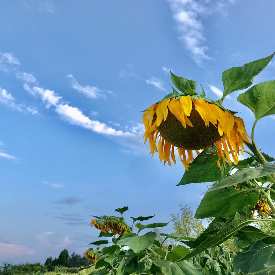 @黔农土特产农产品