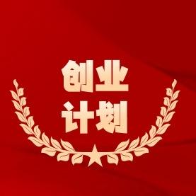 可行性研究报告代写