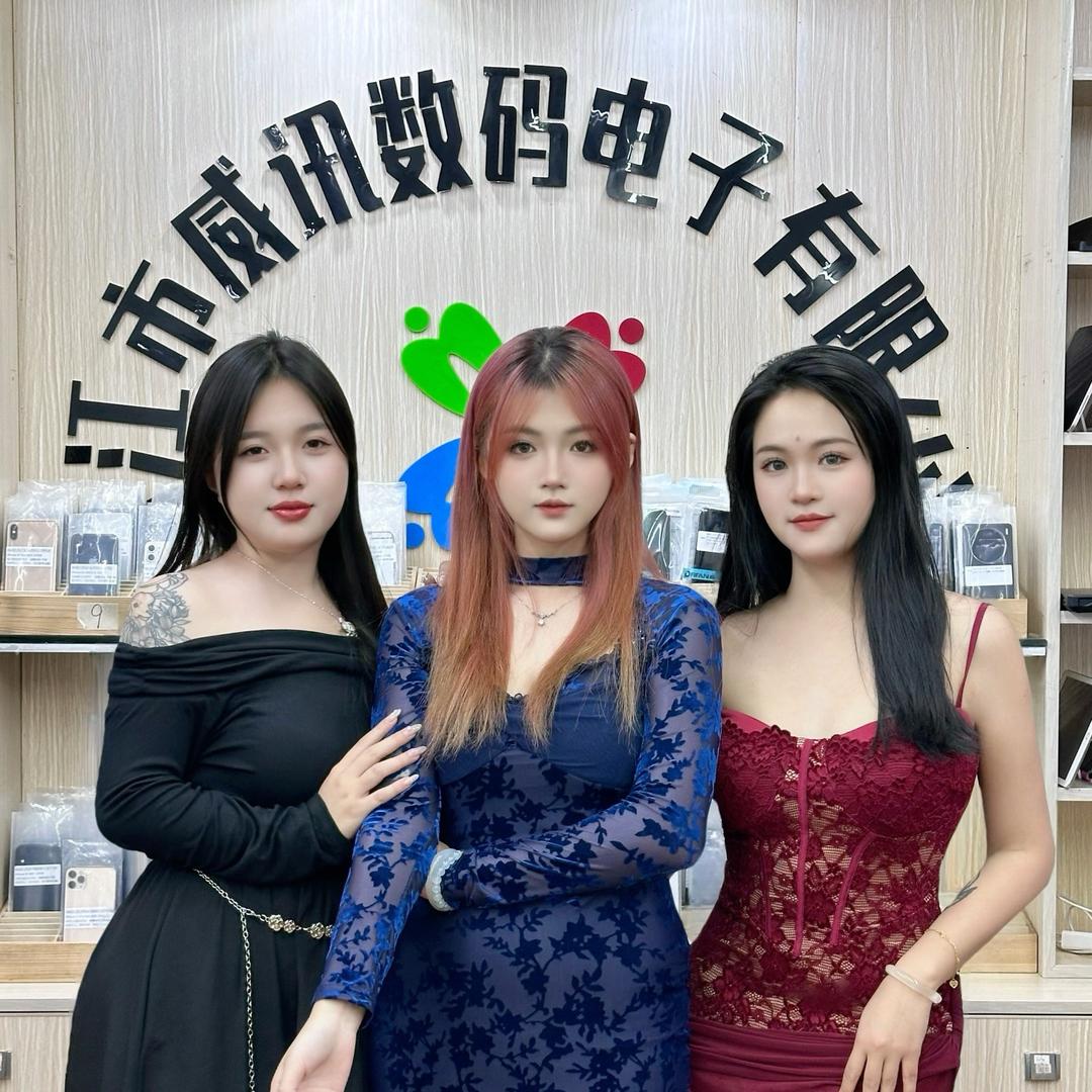 湛江市威讯数码电子有限公司