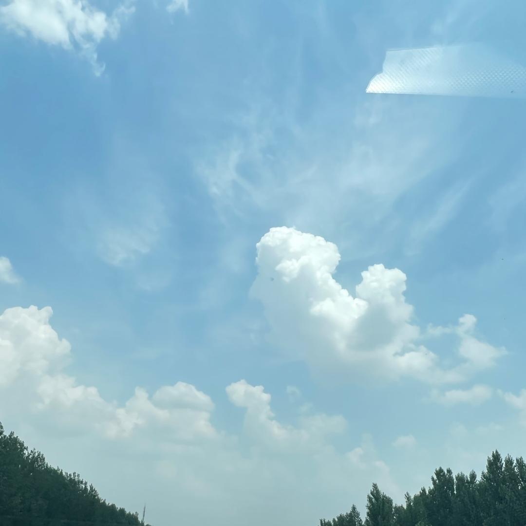 信翼数码