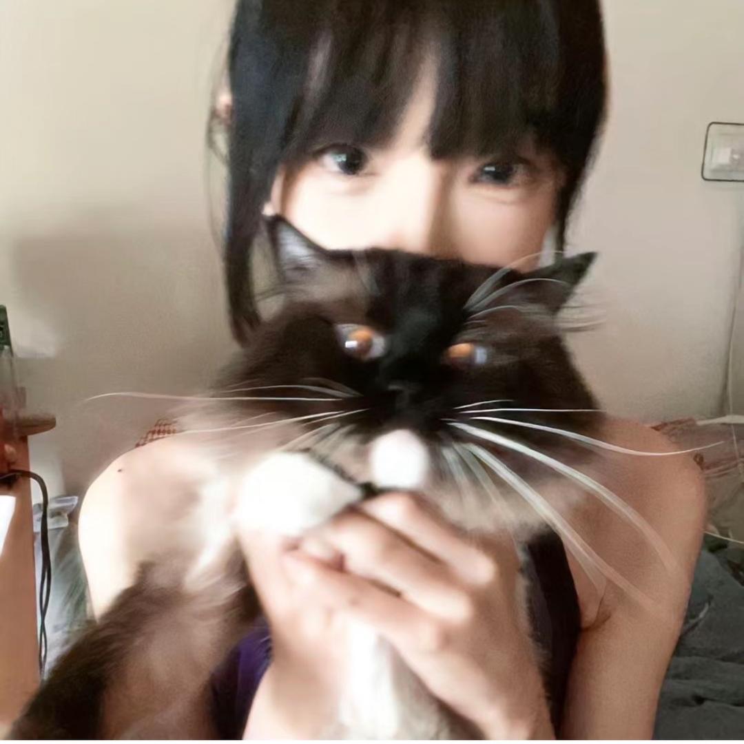 六只猫