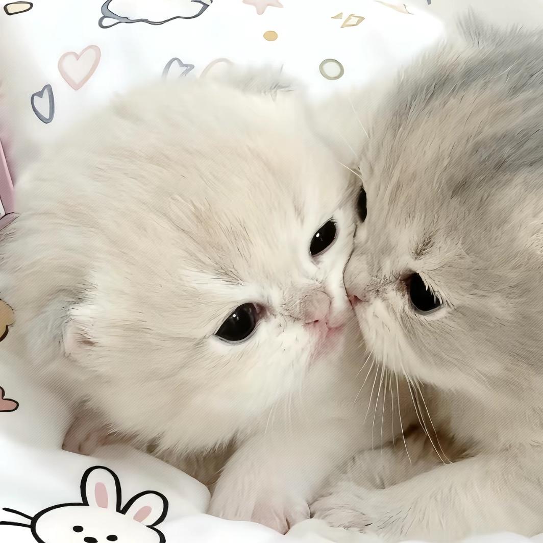 u伤の蛋汁