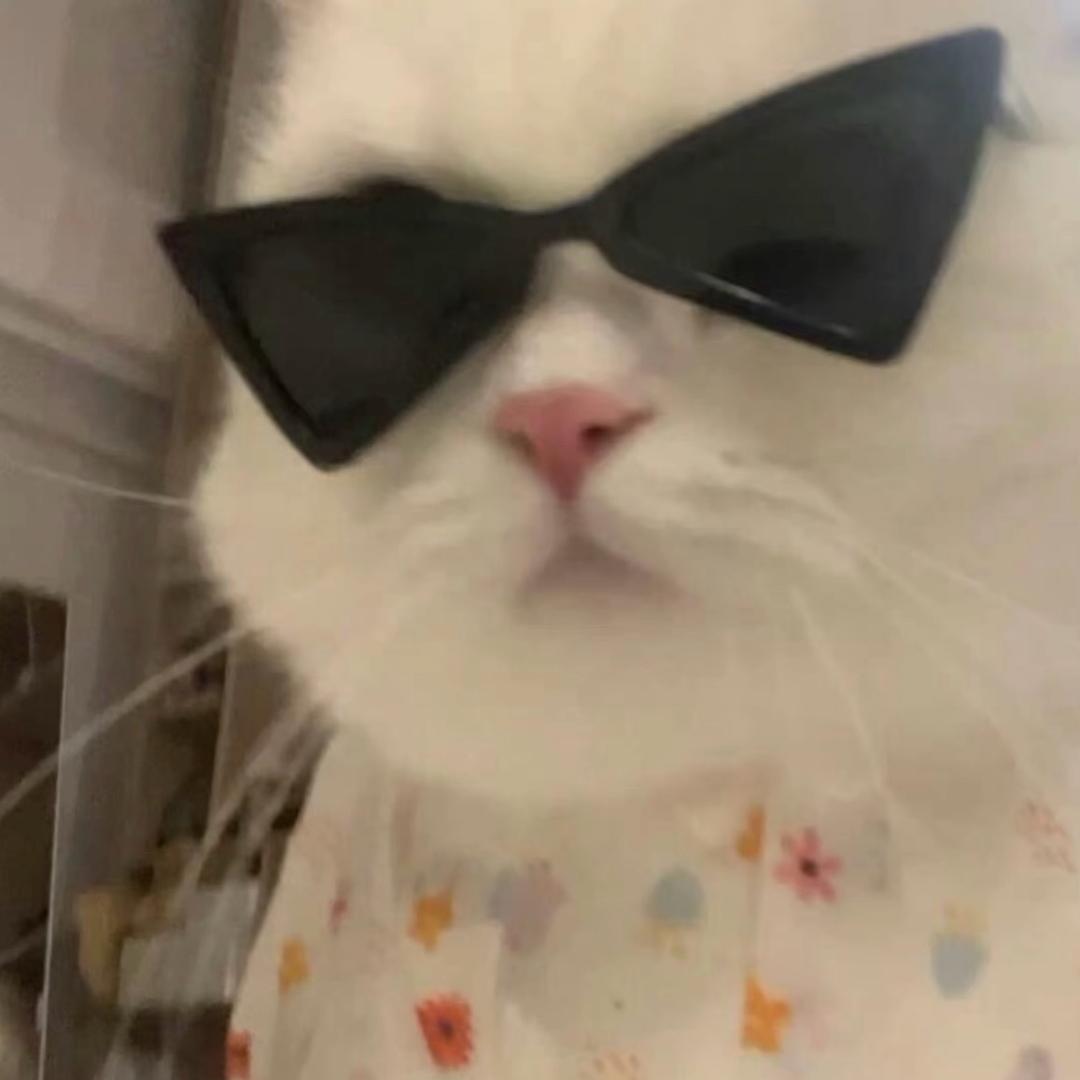 早点起🧚🏻‍♀️