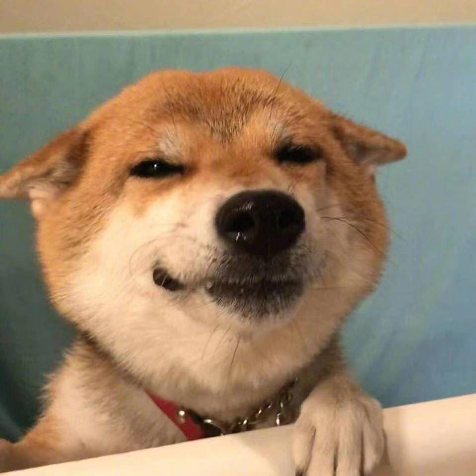 小陈很忙。