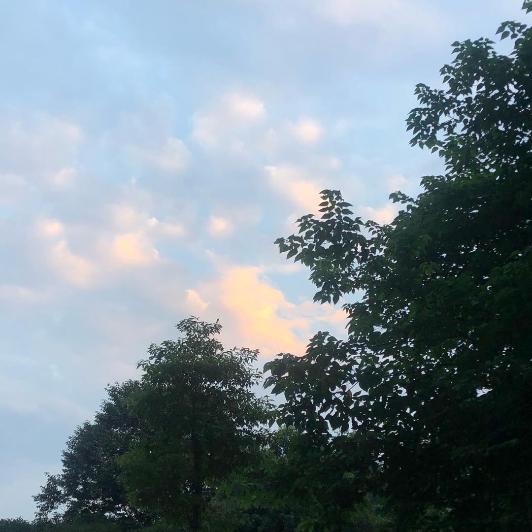 。.。