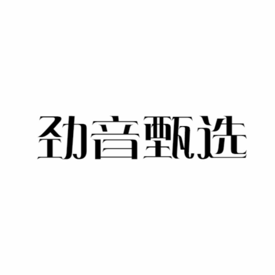 劲音甄选店