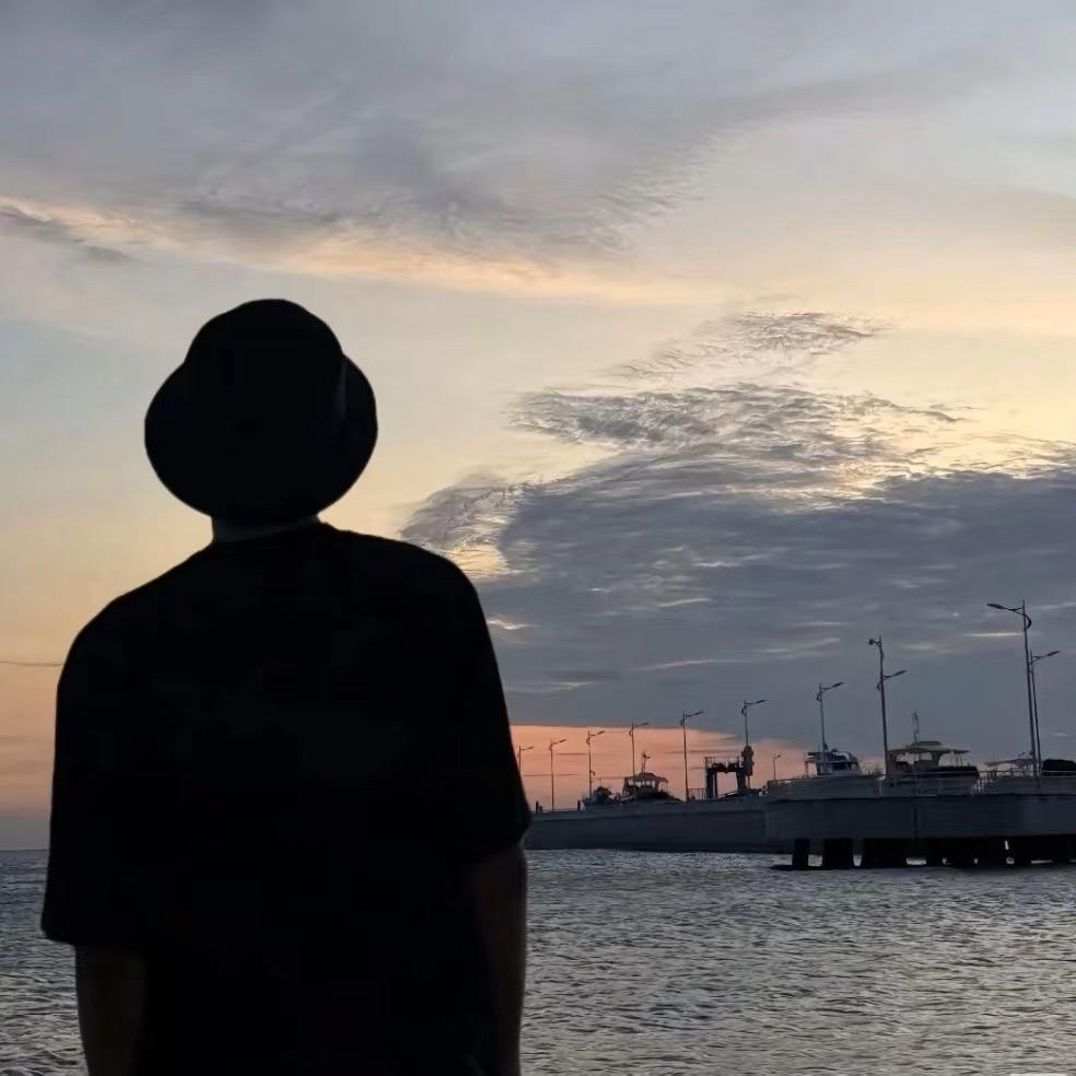 南岸。