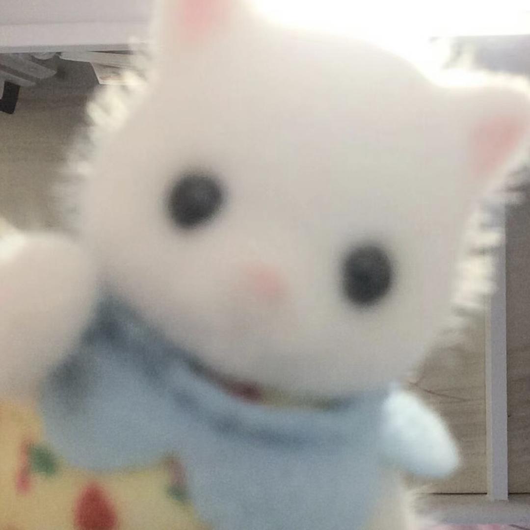 小翩快跑