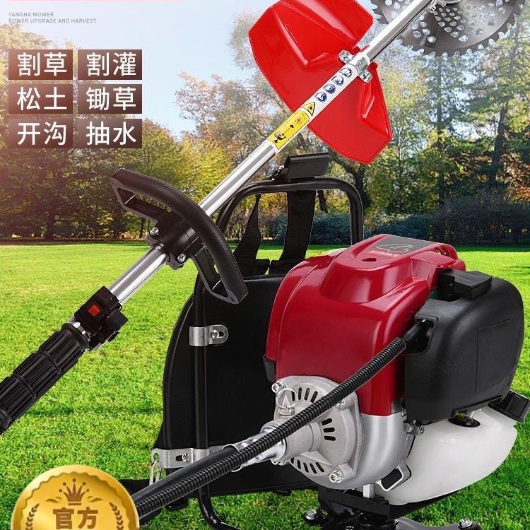 雷姆赫汽油割草机