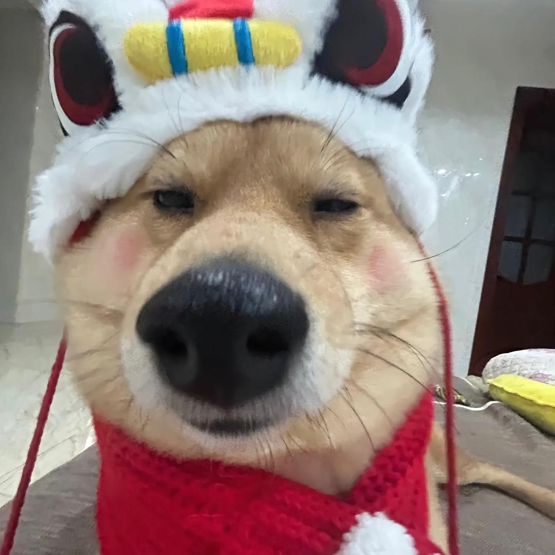 炖一锅馍花（没班上版）