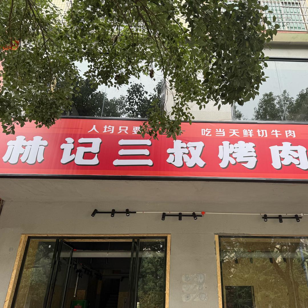林记三叔烤肉(临武店)