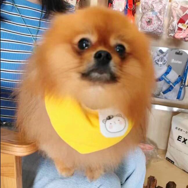 best思