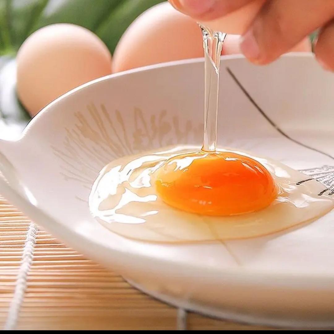 雁凤天～千客思