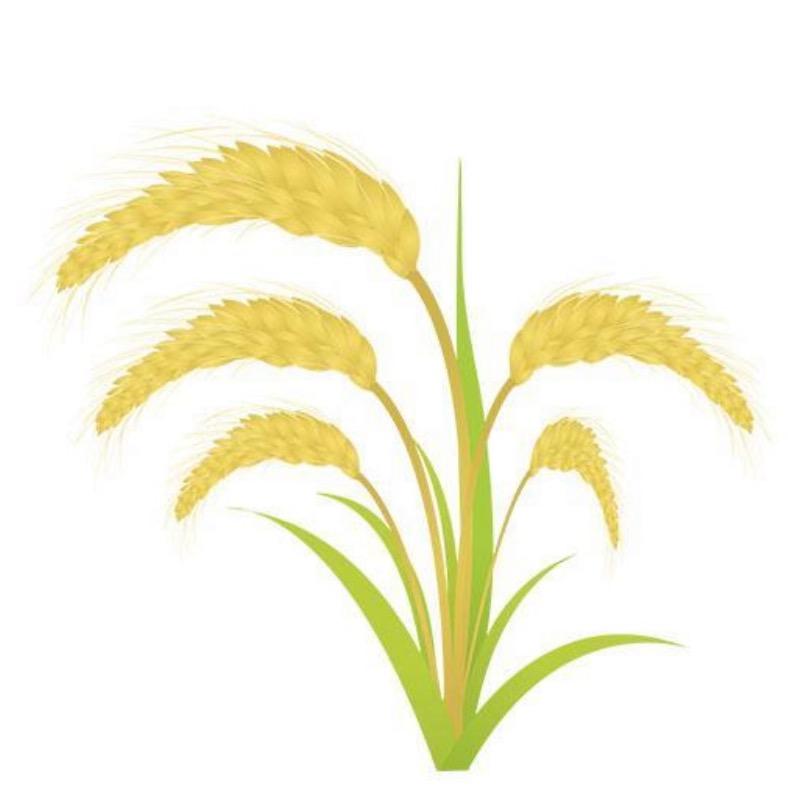 沉默淡然