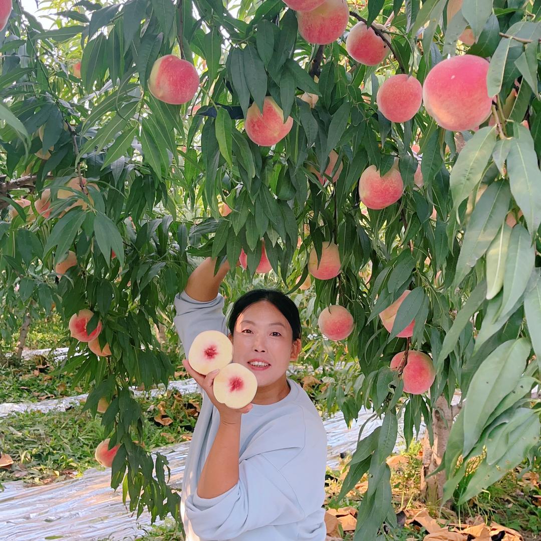 果家园鲜果