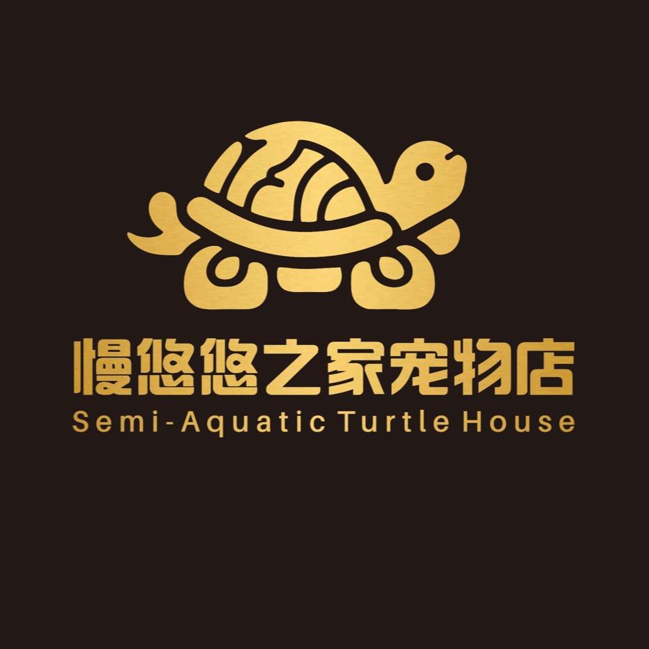 慢悠悠的黄缘龟