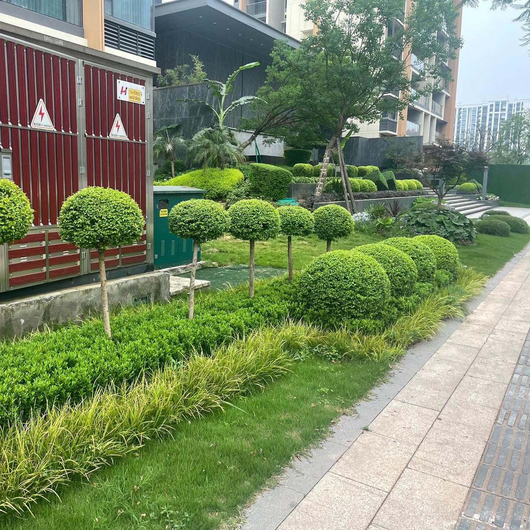 瑞林园艺