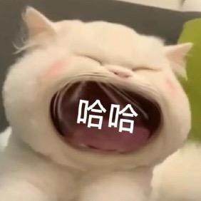 赛 冠 希