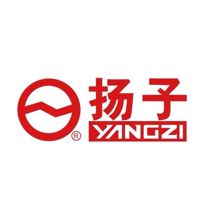 扬子厨电专场