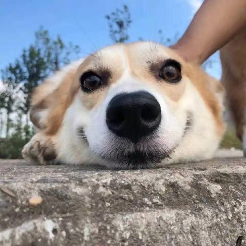 时间路人~