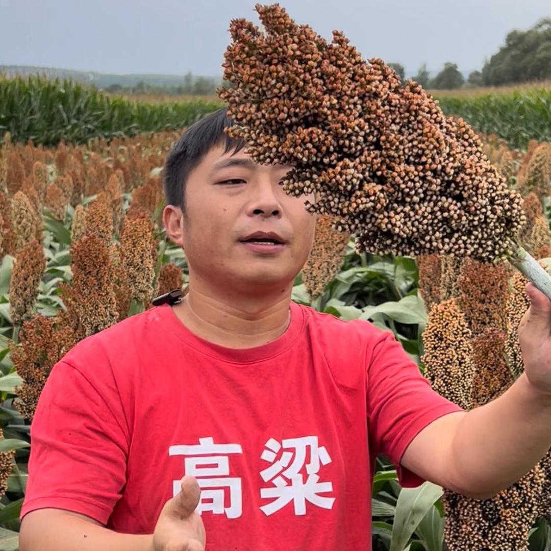 小田哥