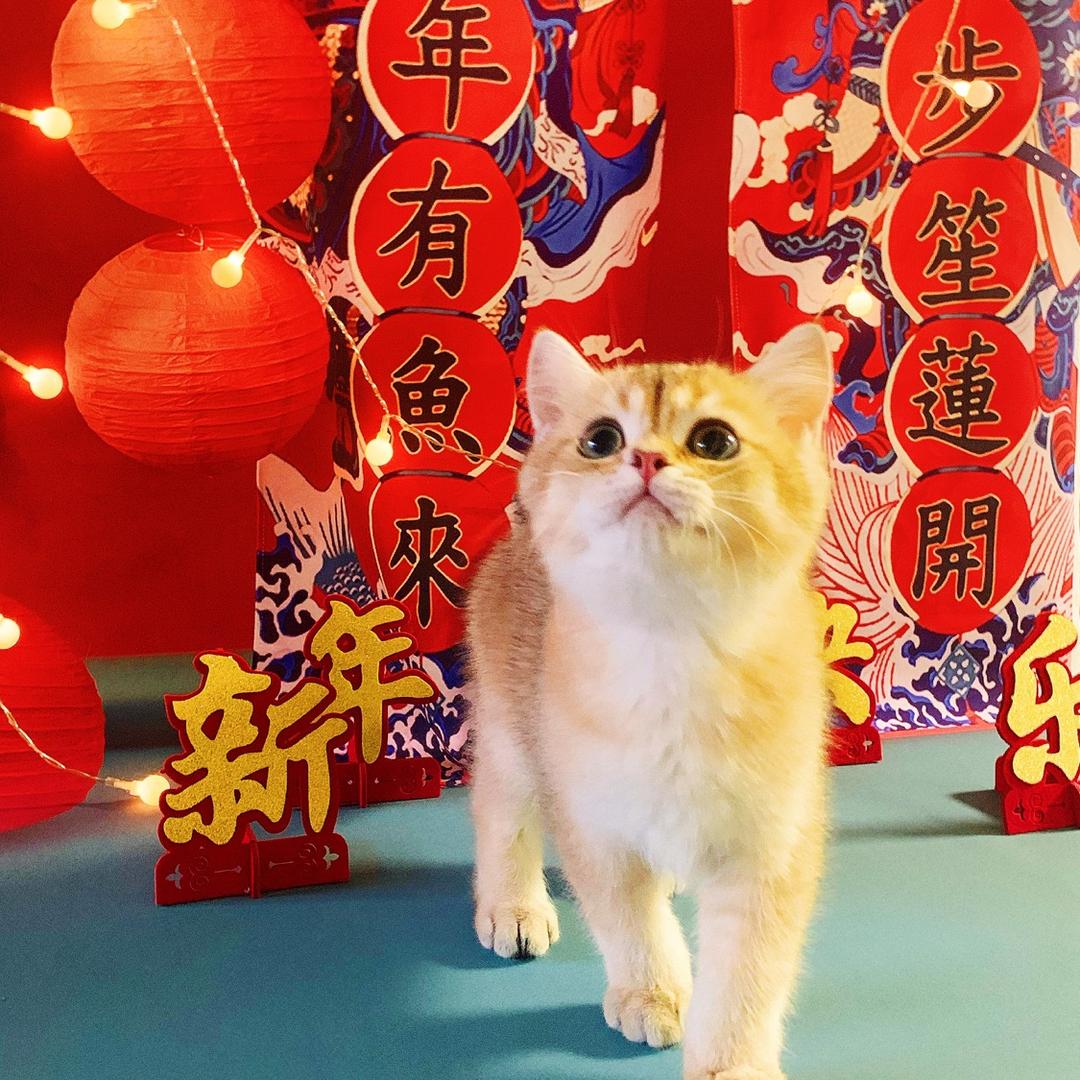 彩虹棒