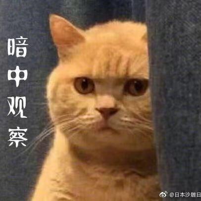 取个名字好难～