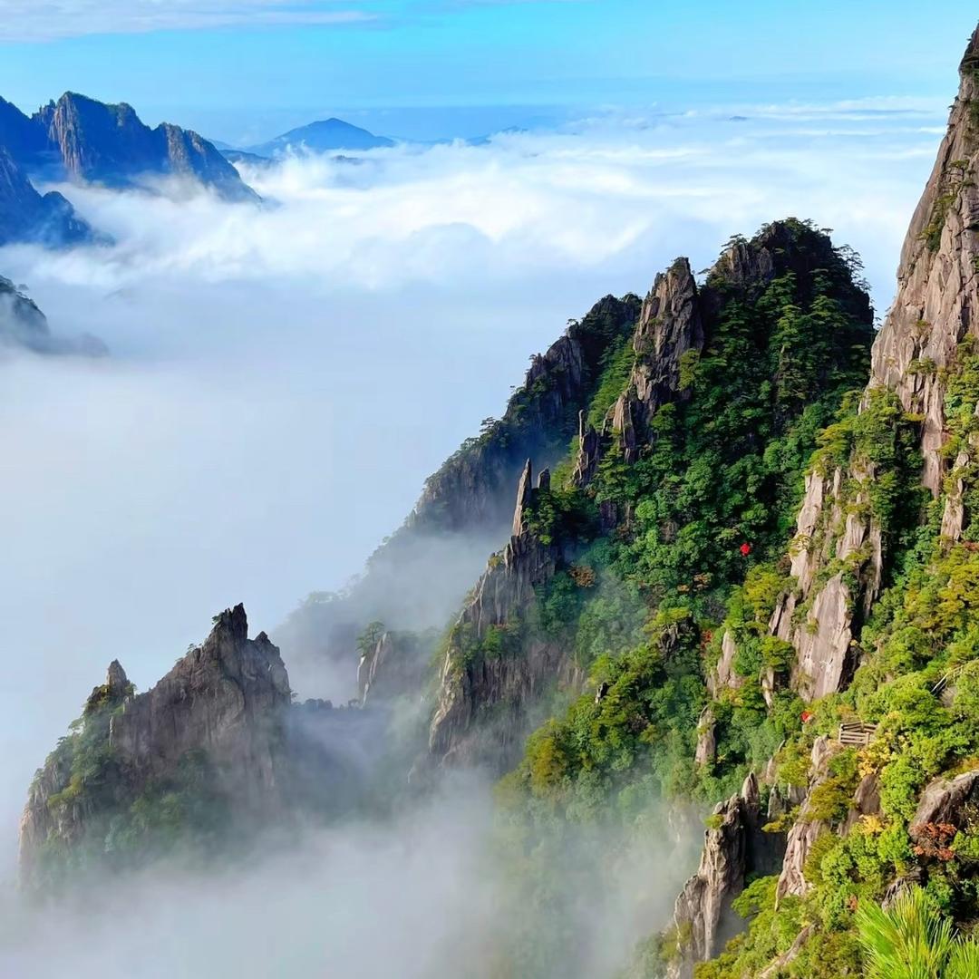 风景👓