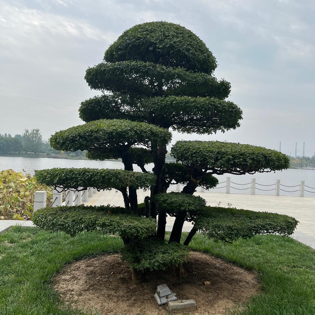 寻味寻遍信阳美味