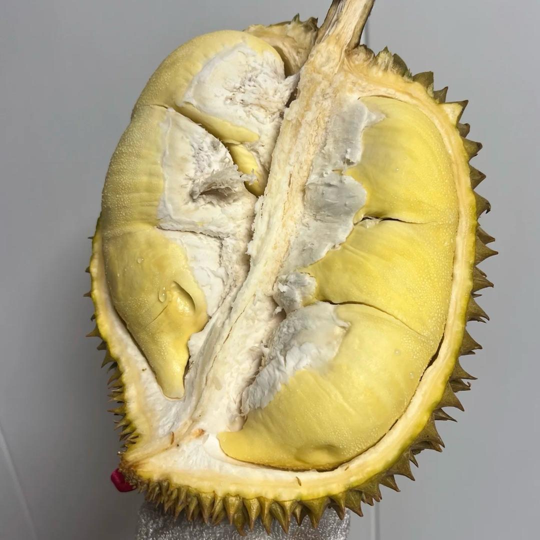 榴莲摇一摇