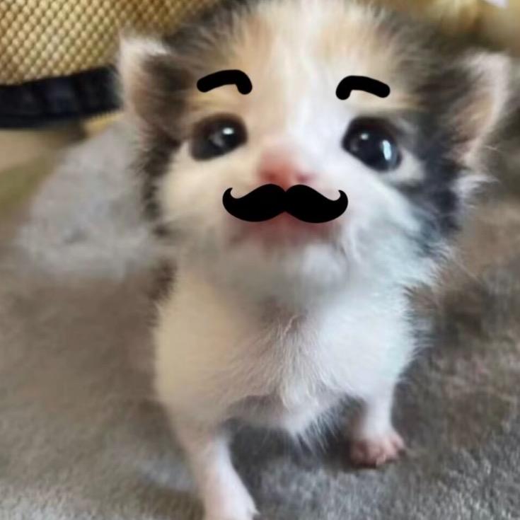 黑眼圈