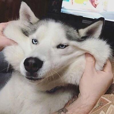 别揉我脸