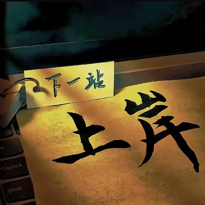 永不🇨🇳言弃