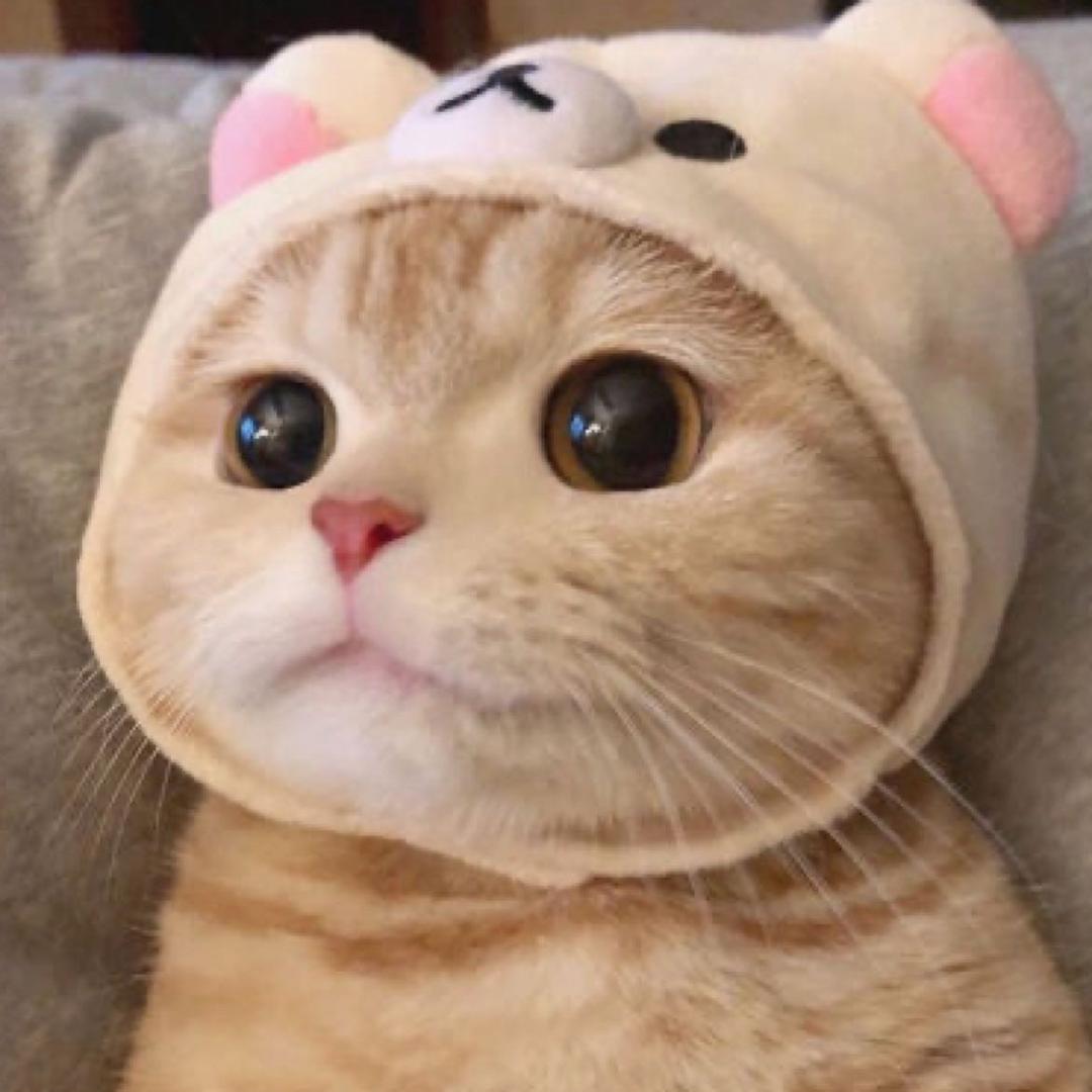 西早老师
