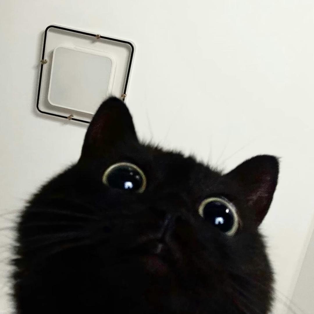 21.1