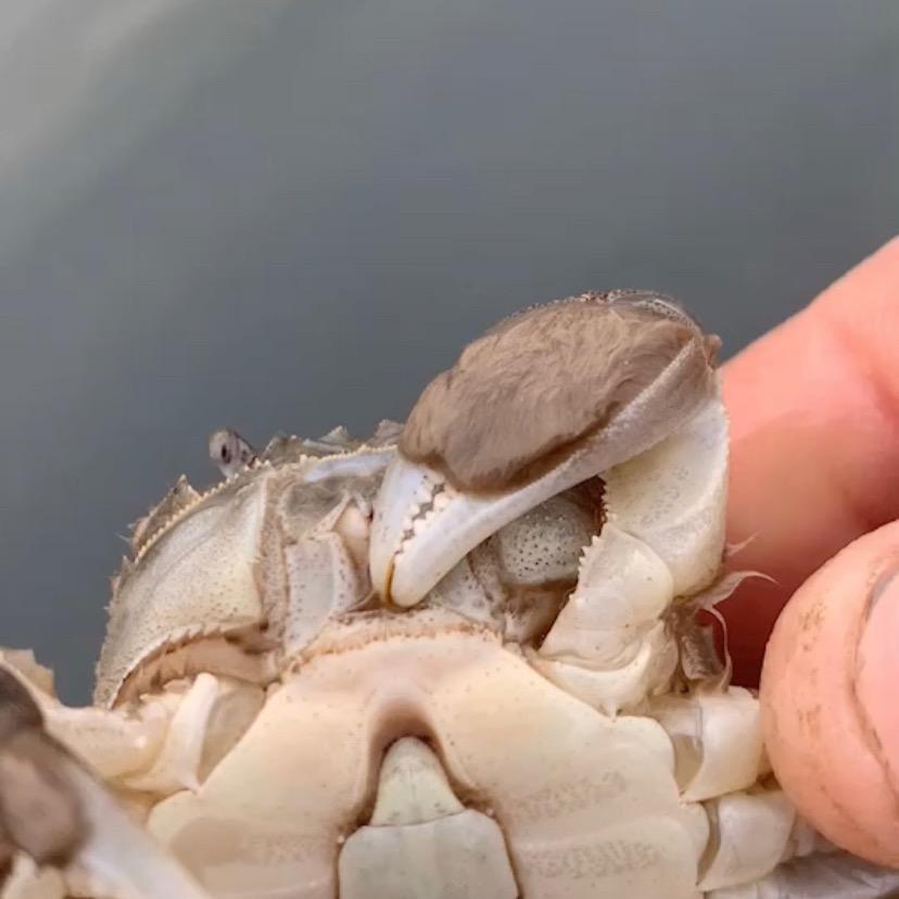 没有困难的工作只有勇敢的打工人