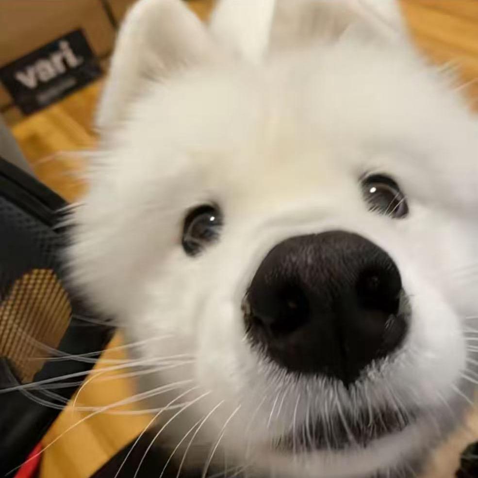 不耐烦