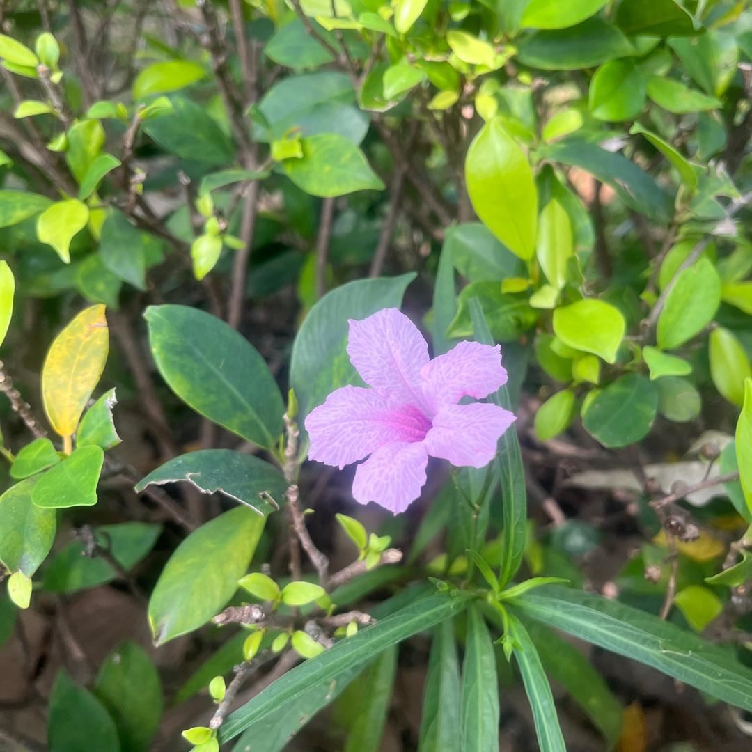 广州中老年尾货批发