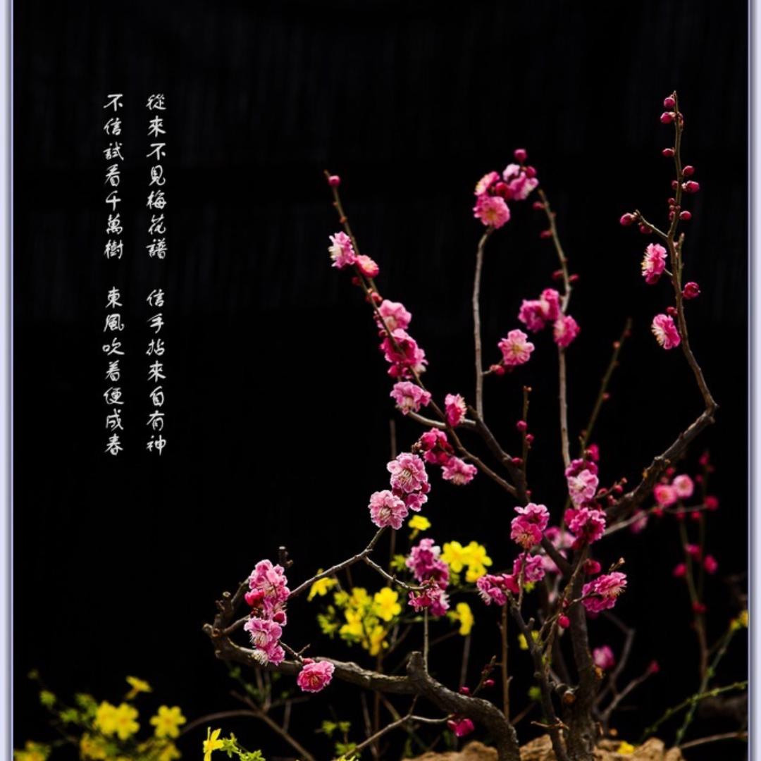 @2️⃣1️⃣1️⃣