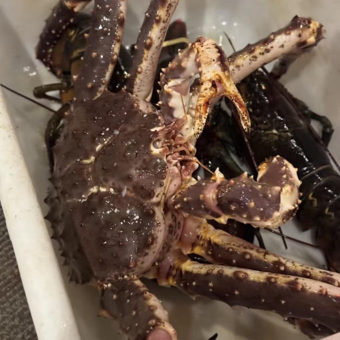 玉树名锋