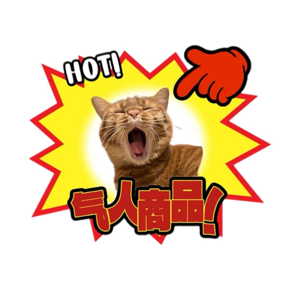 坏歪（日更版）