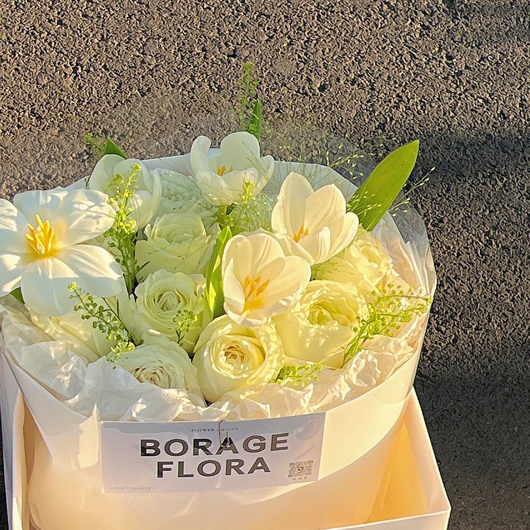 BORAGE•FLORA琉璃苣