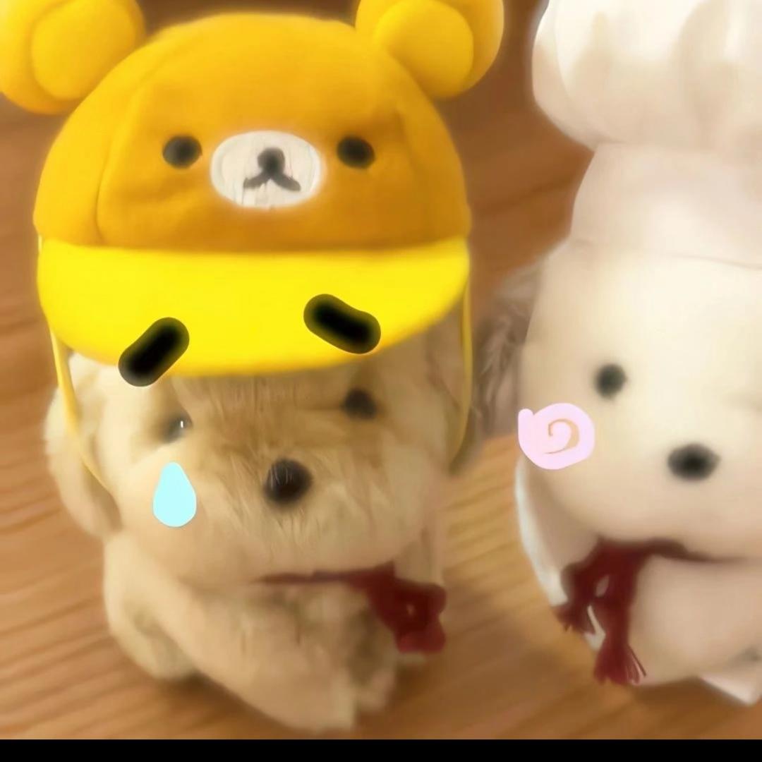不娶sjy不改名