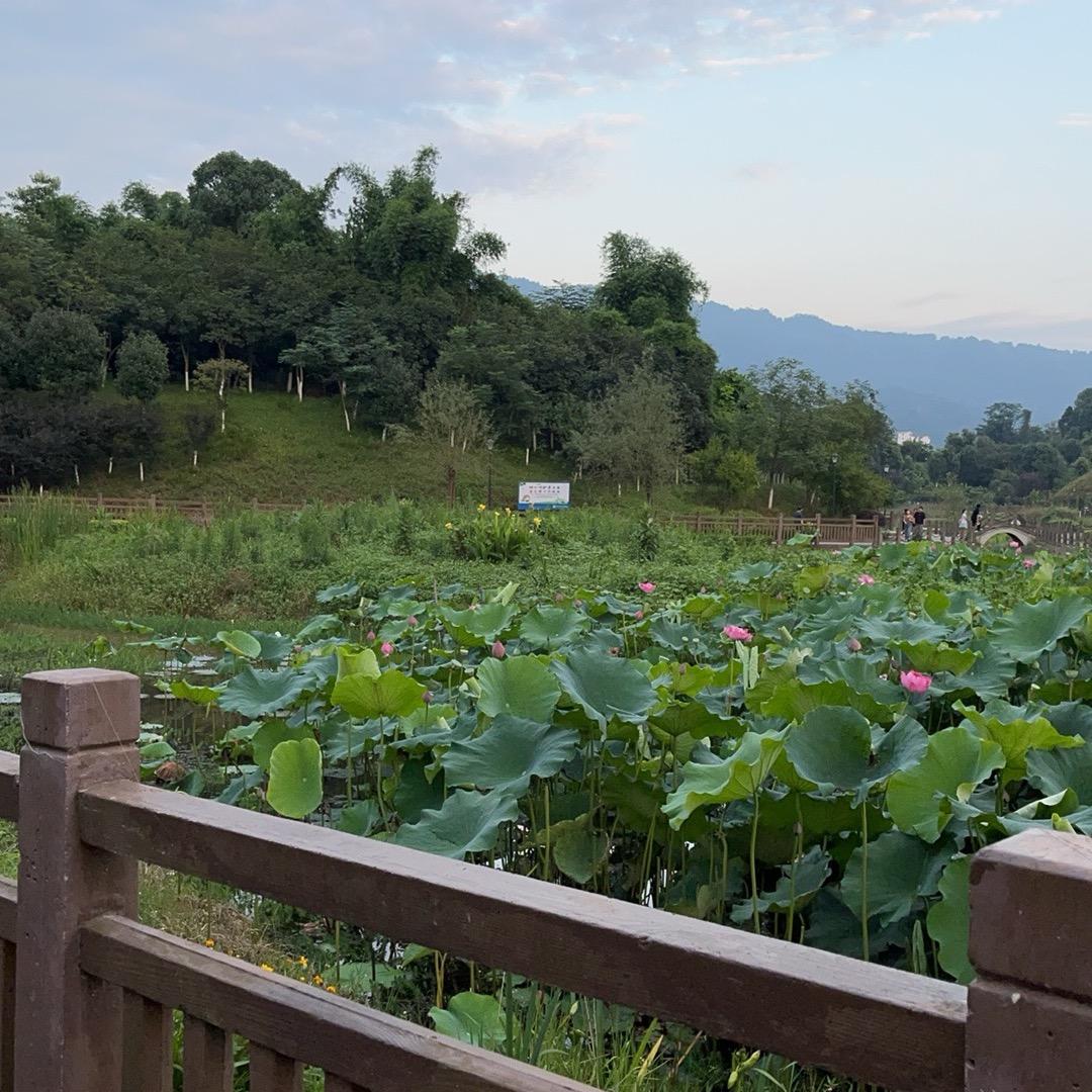 幸福老哥美食推荐