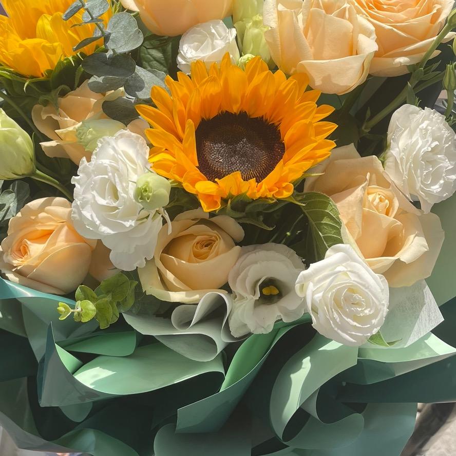 *杰妮（北狮制做）