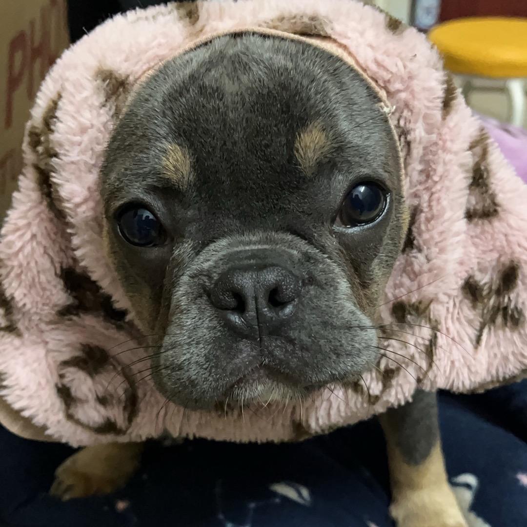 李铁蛋是我大哥🏀