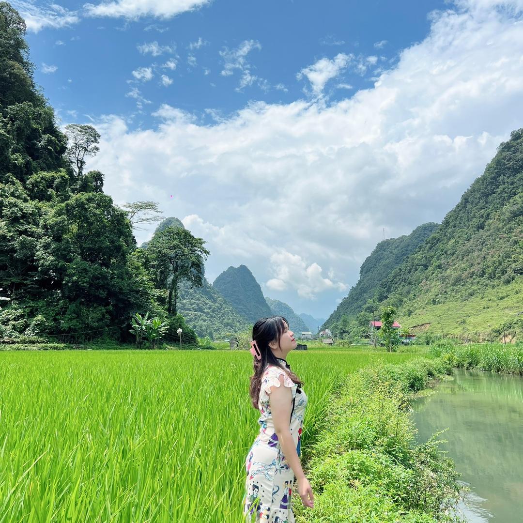 越南小妹 🇻🇳